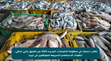 لطلب اسمك في منظومة الإفراجات الجديدة 2025 عبر تطبيق راتبي لحظي.. خطوات الاستعلام السريعة للموظفين في ليبيا